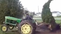 Un arbre se venge du mec qui essaie de le déraciner