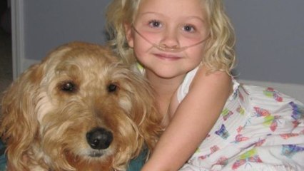 Un chien prend soin d'une petite fille malade pour pouvoir jouer avec elle