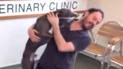 Après avoir été volé, ce chien retrouve enfin son maître !