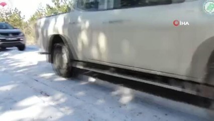 Yaban hayvanları için yapılan yemleme çalışmaları böyle görüntülendi