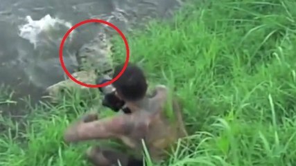 Un photographe échappe de justesse à l'attaque d'un crocodile
