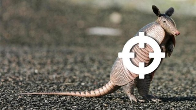 il tire sur un tatou, la balle rebondit et blesse sa belle-mère