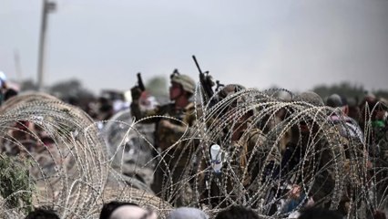 Dutzende Hunde in Kabul zurückgelassen - Pentagon weist Schuld von sich