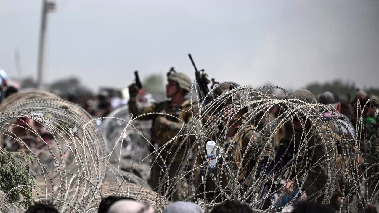 Dutzende Hunde in Kabul zurückgelassen - Pentagon weist Schuld von sich