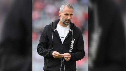 "Hinters Licht geführt und verarscht": Fußball-Fans mobilisieren gegen BVB-Trainer Rose