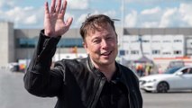 Elon Musk: Bei nächstem Weltraumflug soll es Pizza und WLAN geben