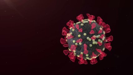 Erstaunliches Phänomen: Einige Patienten:innen entwickeln eine "übermenschliche" Immunität gegen Covid-19