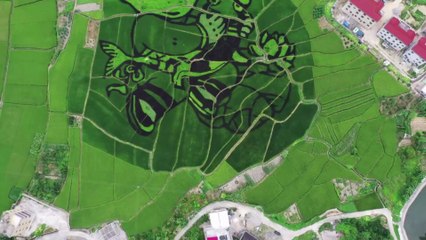 Putian, China: Fast 3 Millionen Menschen wieder im Lockdown