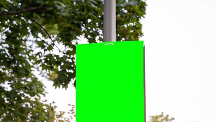 Aufruf zu Mord oder zum Plakatieren: Mehrdeutigkeit der "Hängt die Grünen"-Wahlplakate macht Rechtsprechung kompliziert