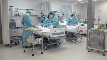 Molnupiravir: Anti-Corona-Pille senkt Corona-Risiko um 50 Prozent