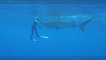 Mann filmt, wie er mit bloßen Händen mit einem Hai ringt