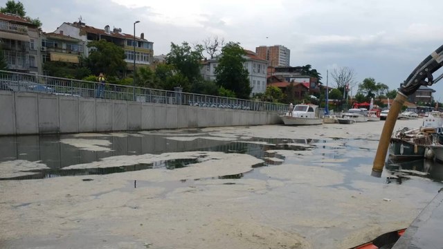 Marmarameer ist jetzt ein totes Meer : Ein Jahr nach Meeresrotz-Katastrophe folgt die düstere Bilanz