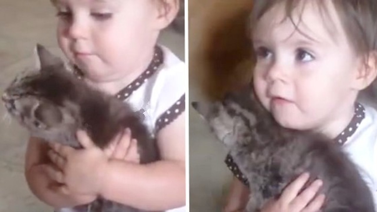 Une petite fille s'occupe de son chaton comme d'un bébé
