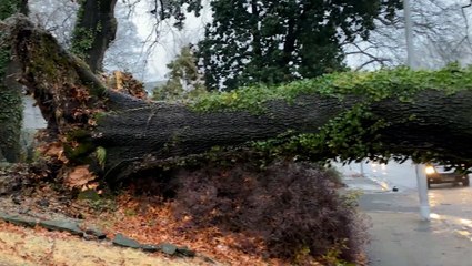 Storm covers Memphis in a sheet of ice