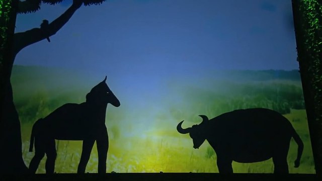 Ce spectacle d'ombres chinoises va vous couper le souffle !