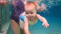 Des parents apprennent à leur bébé à nager