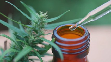 "Regulierte Abgabe" an Erwachsene: Lauterbach schwenkt um bei Cannabis-Legalisierung