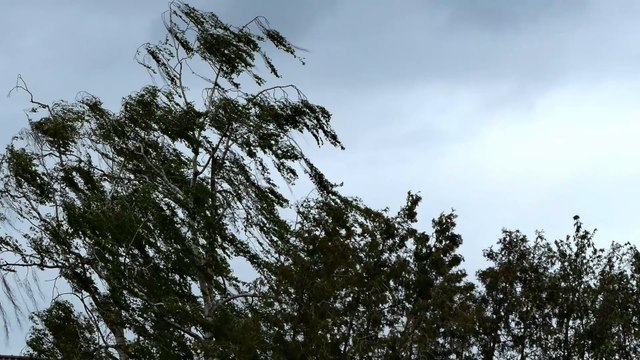 Kurzlebige Tornados in Deutschland: Erste Auswirkungen von Sturm Ignatz