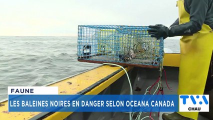 TVA Nouvelles CHAU 12h 2 février 2022