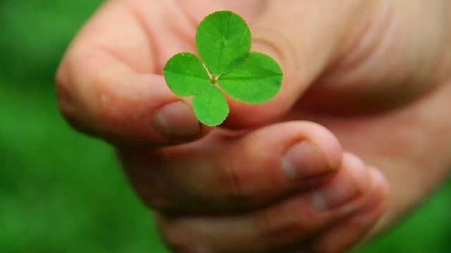 Operation Kleeblatt : Umverteilung von Patient:innen sollen Triage-Entscheidungen hinauszögern