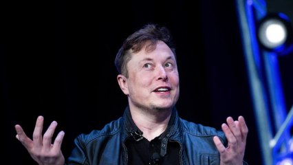 Verrückter Rekord: Elon Musk macht an einem Tag 36 Milliarden Dollar Gewinn
