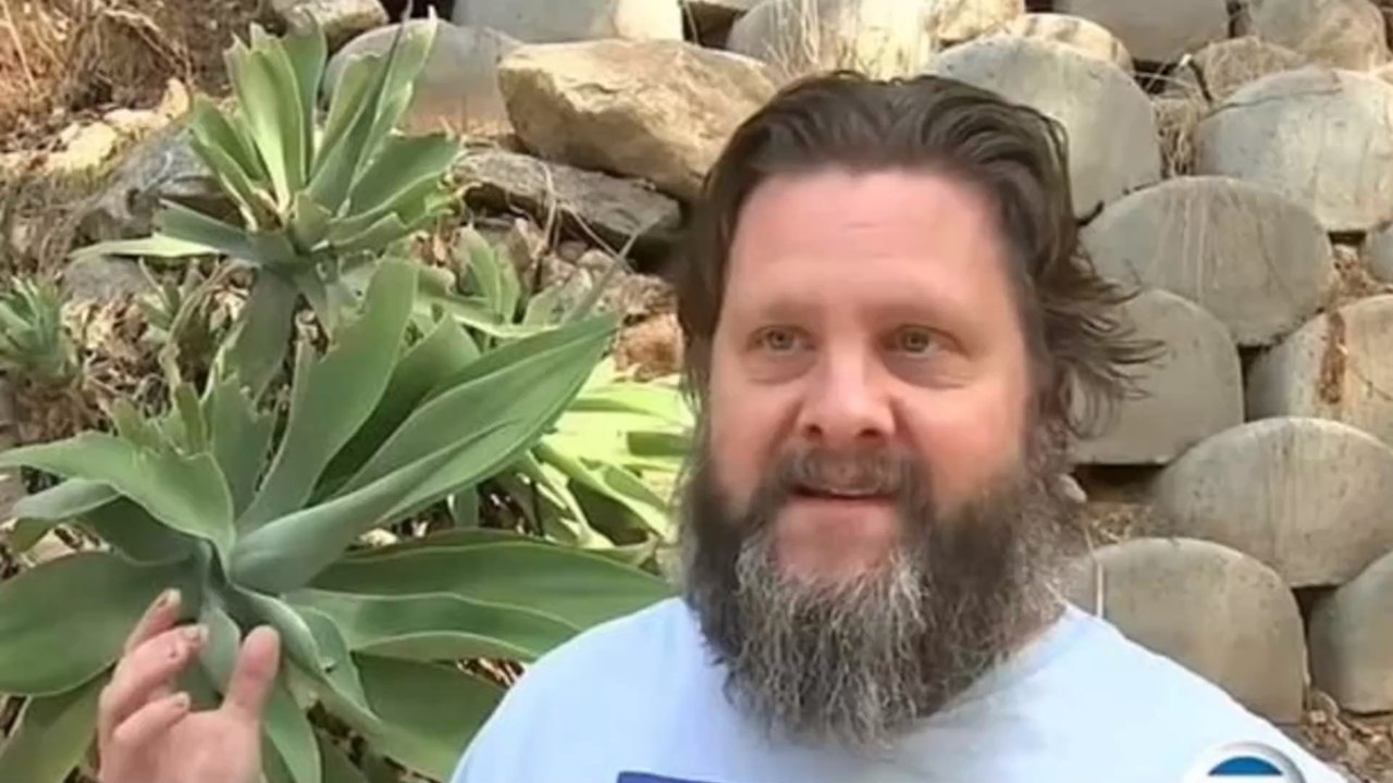 Überraschungsbesuch: mann erwischt braunbär in seiner küche