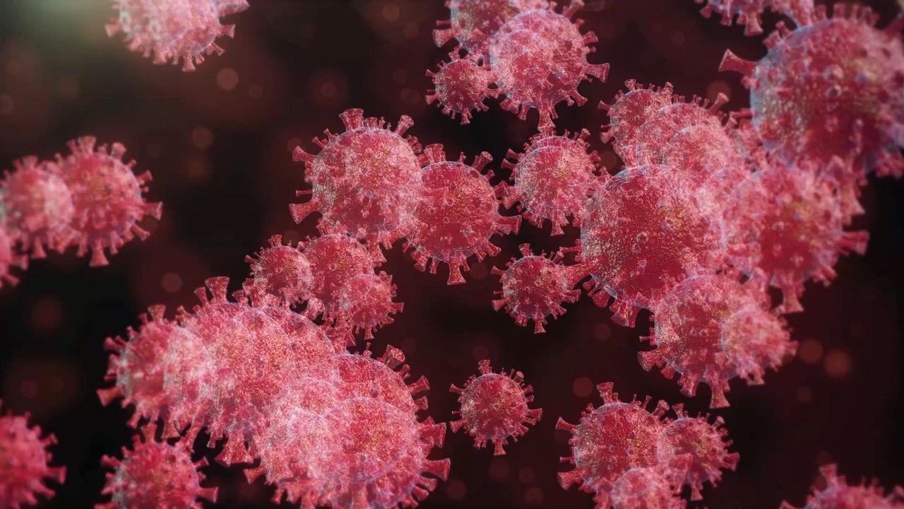 Covid-19: Gründe, warum ihr euch bisher noch nicht angesteckt habt