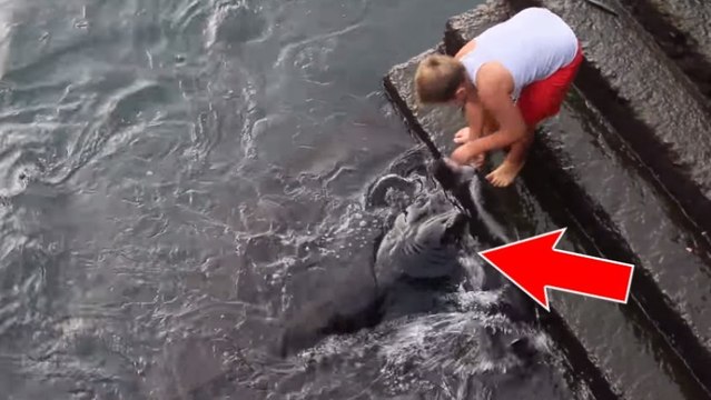 Un enfant tombe nez à nez avec une incroyable créature marine !