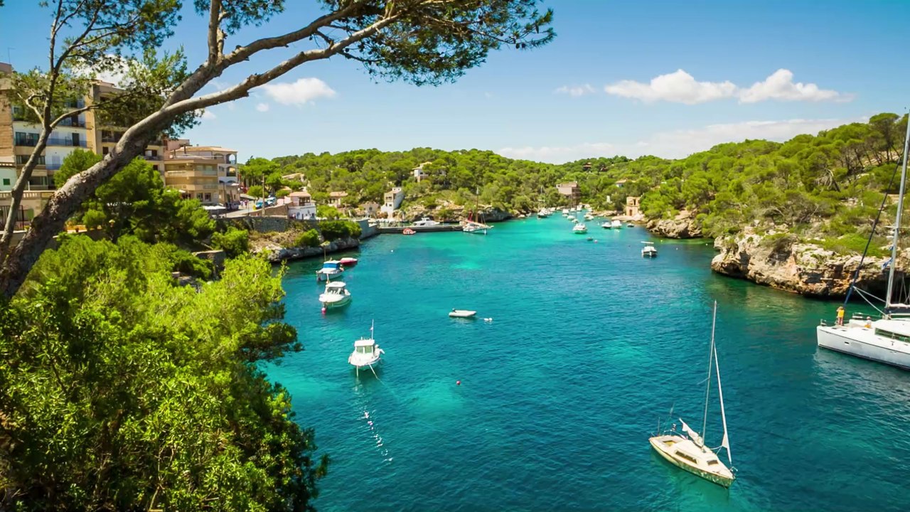 Hochansteckende Krätze: Neue Epidemie breitet sich auf Mallorca aus und ist nur schwer behandelbar