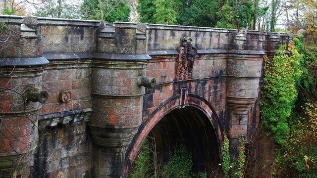 Des centaines de chiens ont déjà sauté de ce pont, et personne ne sait pourquoi