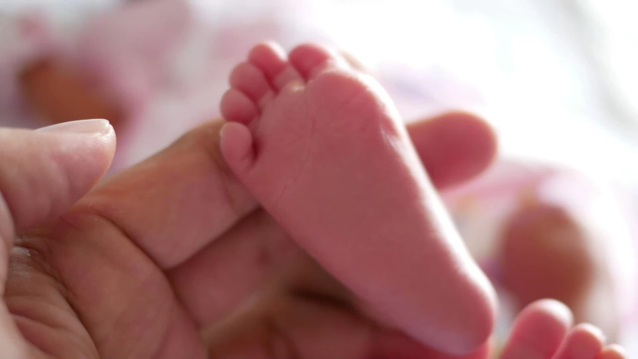 Studie: So bestimmt die Umweltverschmutzung das Geschlechterverhältnis von Babys