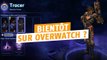 Overwatch : les skins de HOTS qu'on aimerait voir dans Overwatch