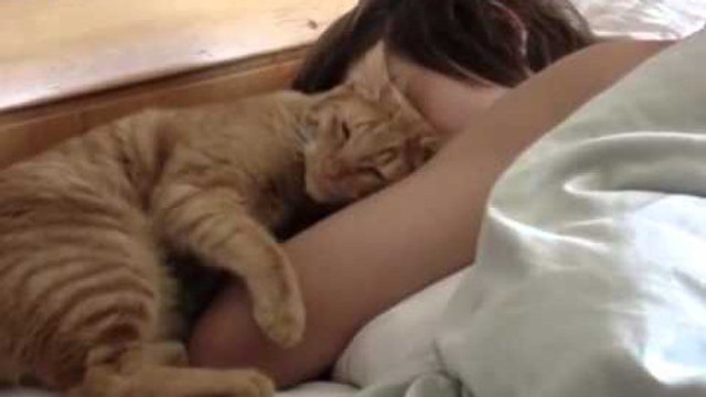 L'adorable technique d'un chat pour réveiller son maître