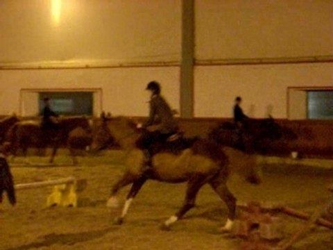 cso saut d'obstacle avec liza