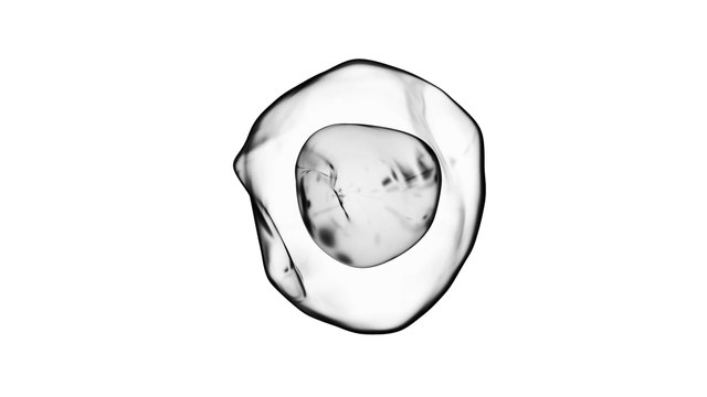 ZAP: Menschliches Protein könnte zur Wunderwaffe gegen Coronavirus werden