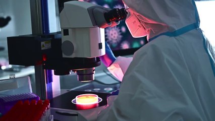 Hunderte falsch negative Coronatests aufgrund von Labor-Fehler