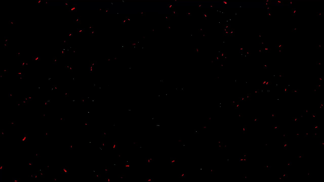 Omikron auf dem Vormarsch: Drei deutsche Bundesländer sind besonders betroffen