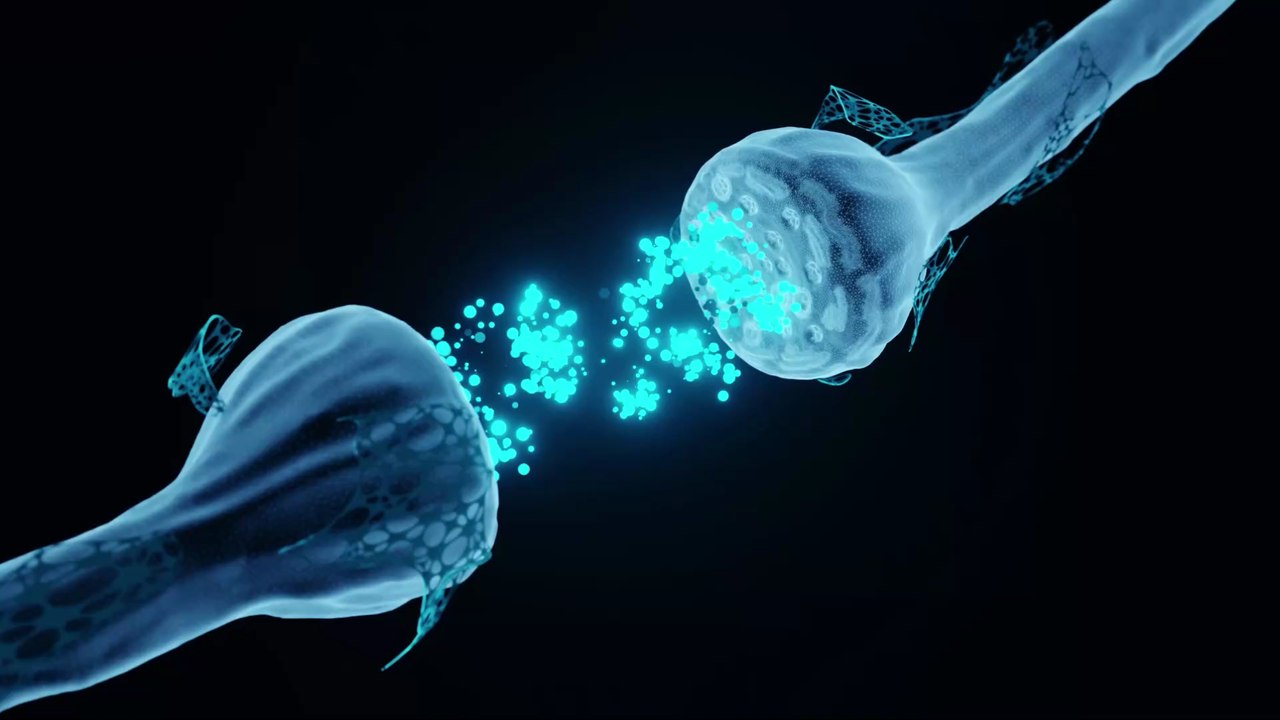 Studie bestätigt Herpesviren als Auslöser für Multiple Sklerose