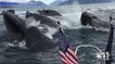 Des pêcheurs rencontrent un groupe de baleines à bosse