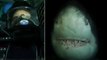 Un plongeur attaqué par plusieurs requins pendant le tournage d'un documentaire