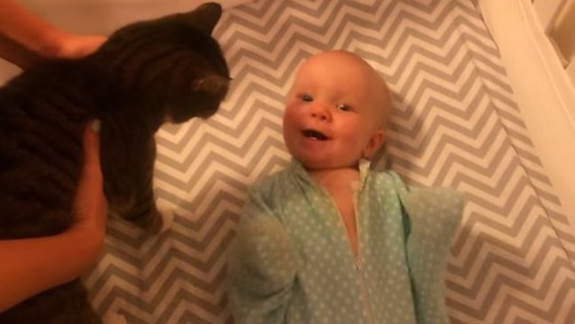 Un bébé éclate de rire quand il voit son chat