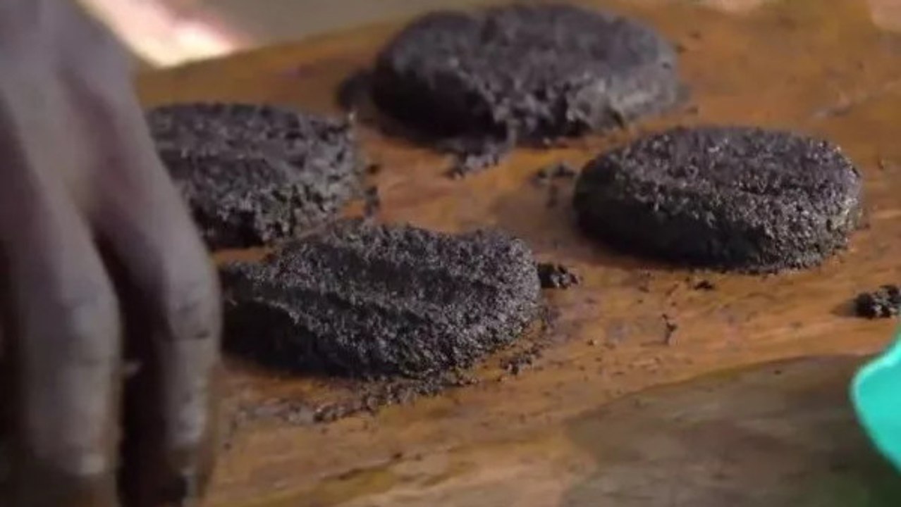 Faits à partir de moucherons, ces steaks sont aussi nutritifs que de la viande