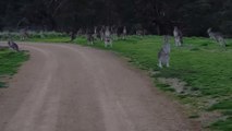 Sa simple balade à vélo s'est transformée en cauchemar quand il a fait cette rencontre sur le bord de la route