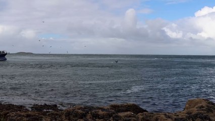 Luxusdampfer von TUI Cruises rettet 50 Geflüchteten in Seenot das Leben