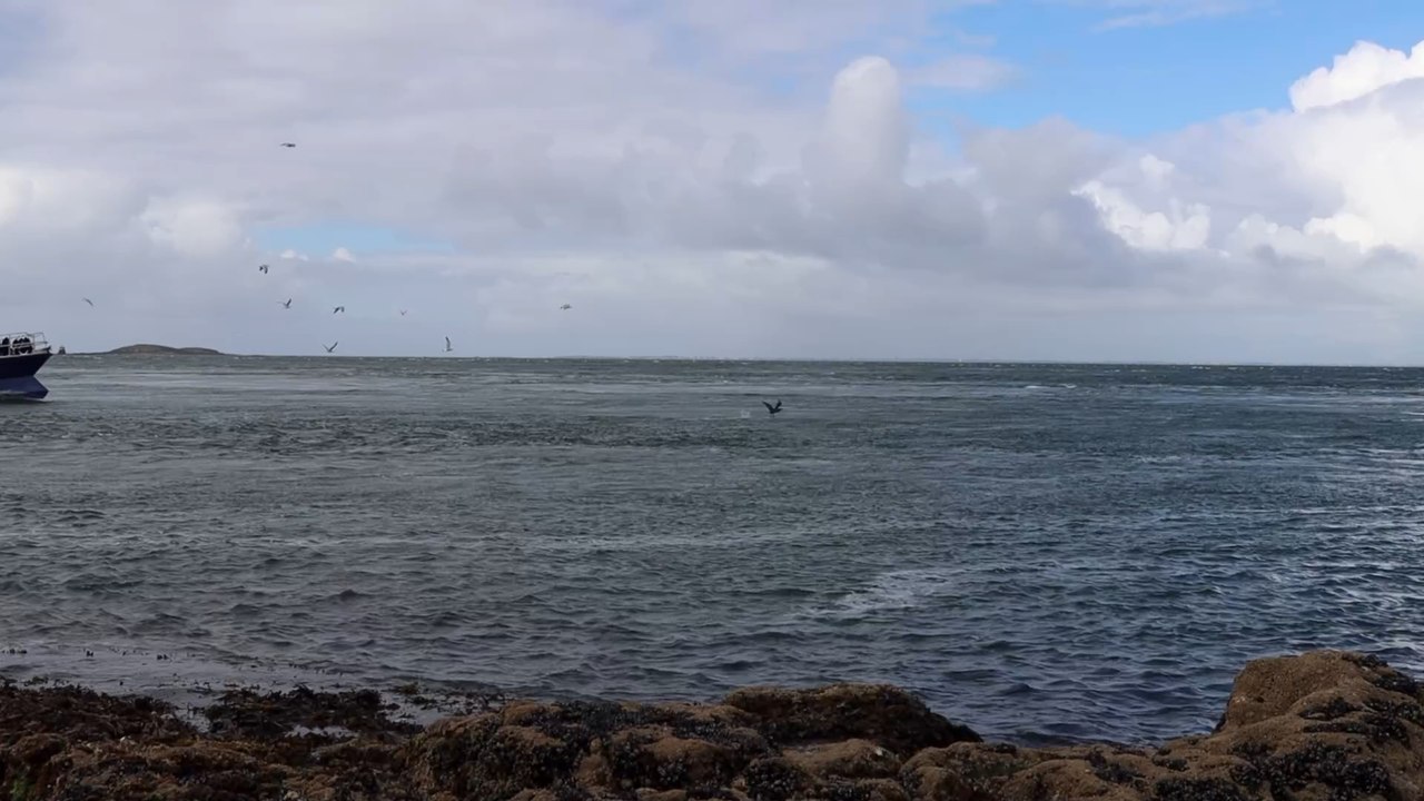Luxusdampfer von TUI Cruises rettet 50 Geflüchteten in Seenot das Leben
