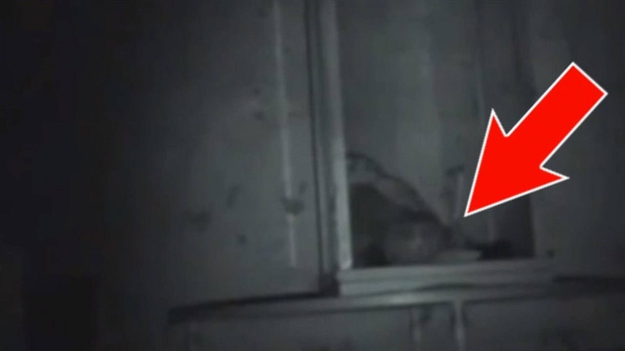 Une caméra de surveillance filme une poupée en train de bouger toute seule dans un placard