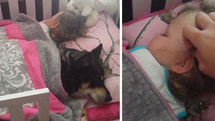 Cette petite fille et son chien adorent faire la sieste ensemble