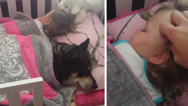 Cette petite fille et son chien adorent faire la sieste ensemble
