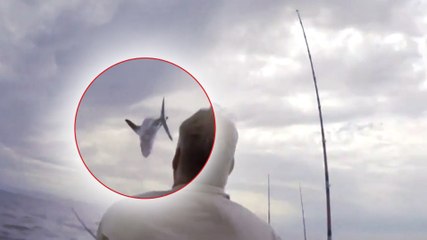 En pleine partie de pêche, ces deux hommes sont effrayés par le saut d'un requin