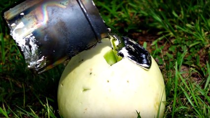 Voilà ce qui se passe quand on verse du métal liquide dans un melon
